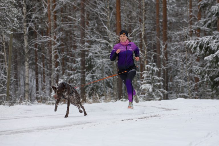 vetokoiraurheilu